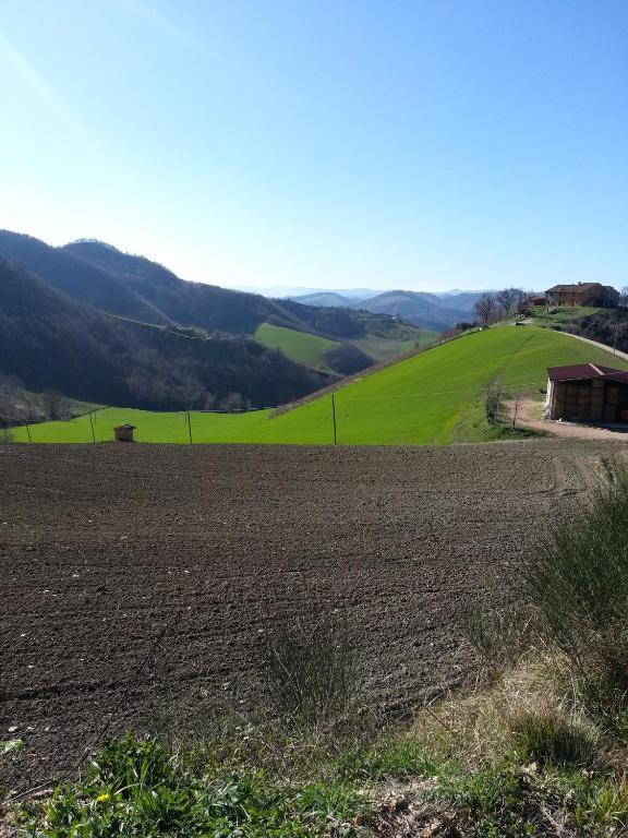 Girfalco Country House Bed and Breakfast Ουρμπίνο Εξωτερικό φωτογραφία