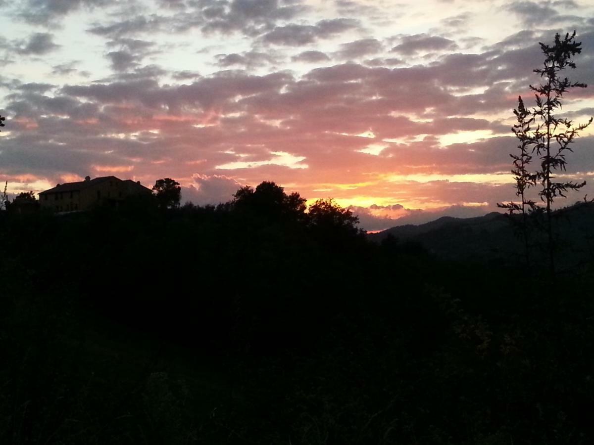 Girfalco Country House Bed and Breakfast Ουρμπίνο Εξωτερικό φωτογραφία
